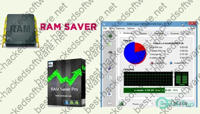 Ram Saver Professional Crack 24.8 Free Download