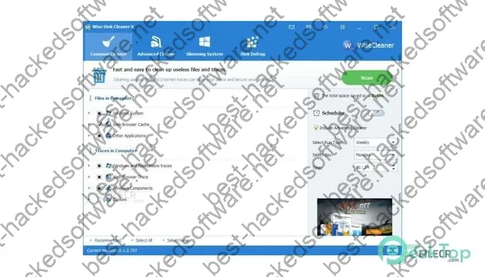 Wise Disk Cleaner Crack 11.1.4.830 Free Download