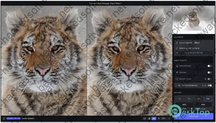 Topaz Photo AI Crack 3.1.3 Free Download