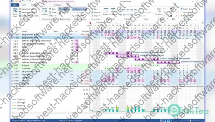 Rillsoft Project Crack 9.0.615.204 Free Download