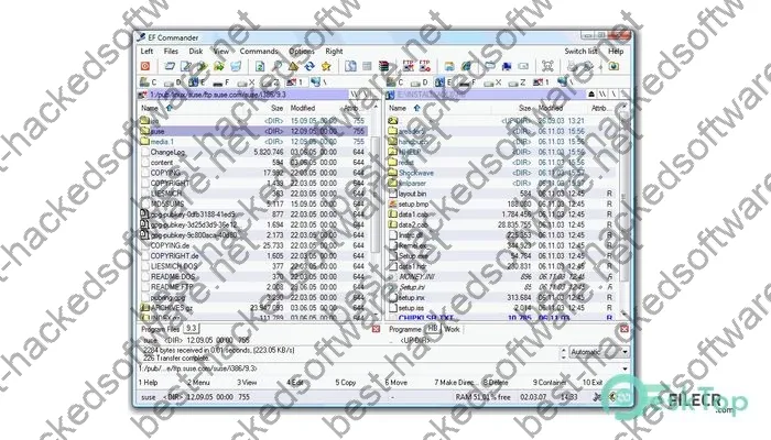 EF Commander Crack 24.07 Free Download