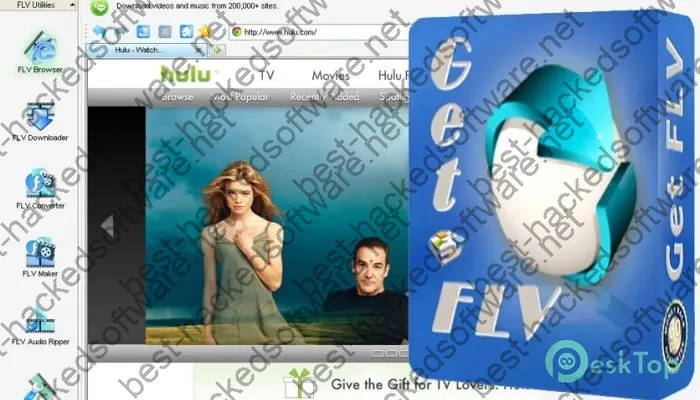 Vdigger Getflv Crack 31.2407.25 Free Download