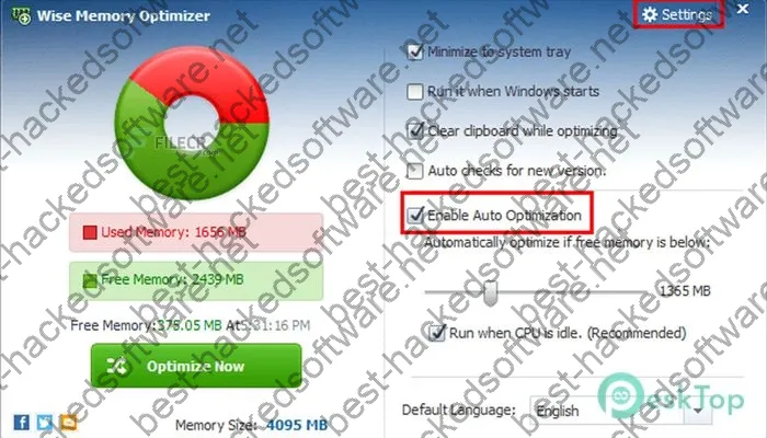 Wise Memory Optimizer Crack 4.2.1.124 Free Download