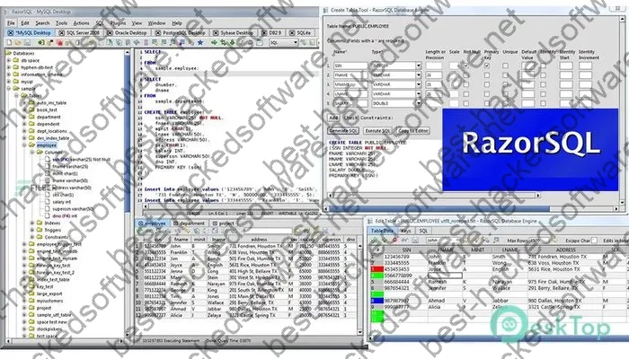 Richardson Software RazorSQL Crack 10.5.2 Full Free